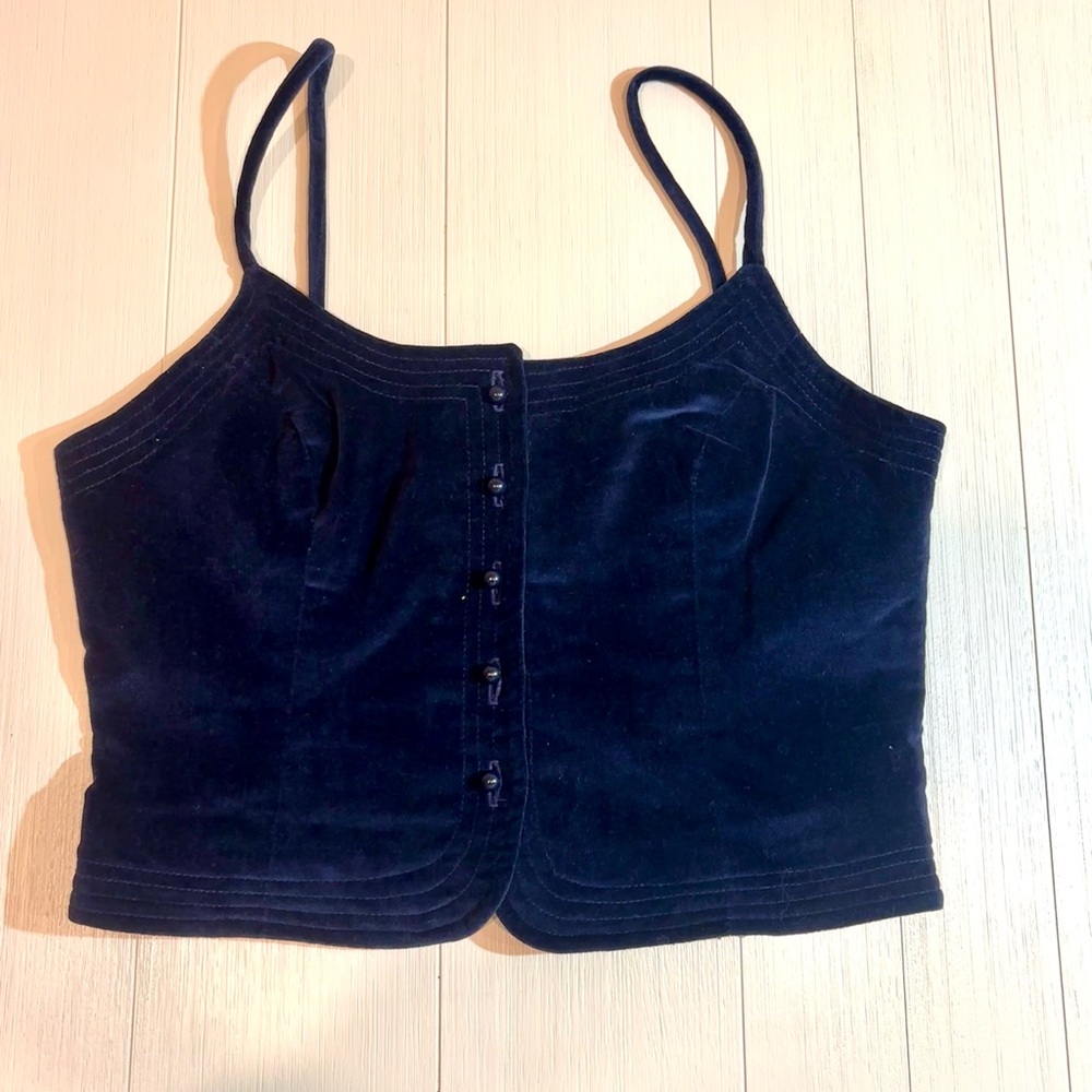 Prophesy Vintage Blue Velvet Corset Style Top.